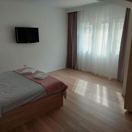 Ela'S Apartment Baile Herculane Bagian luar foto