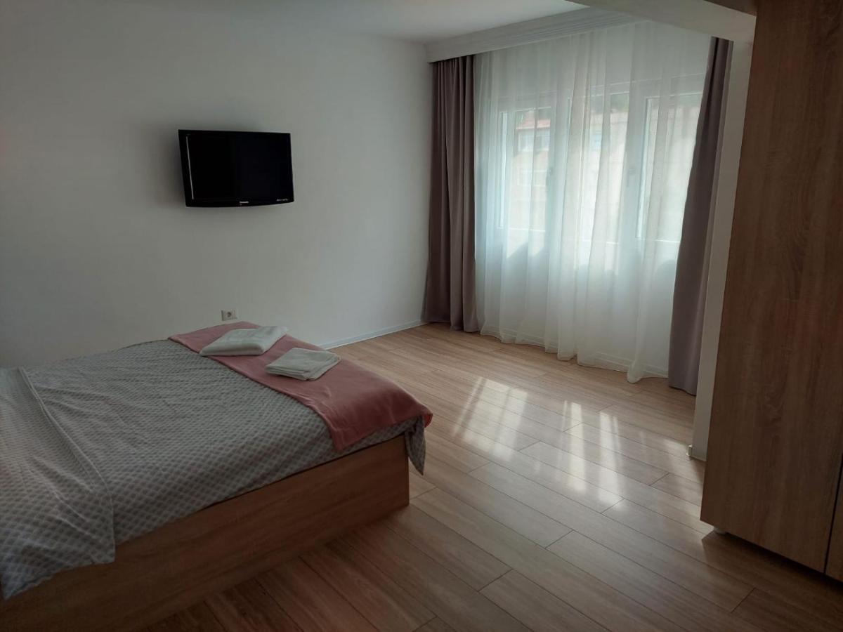 Ela'S Apartment Baile Herculane Bagian luar foto