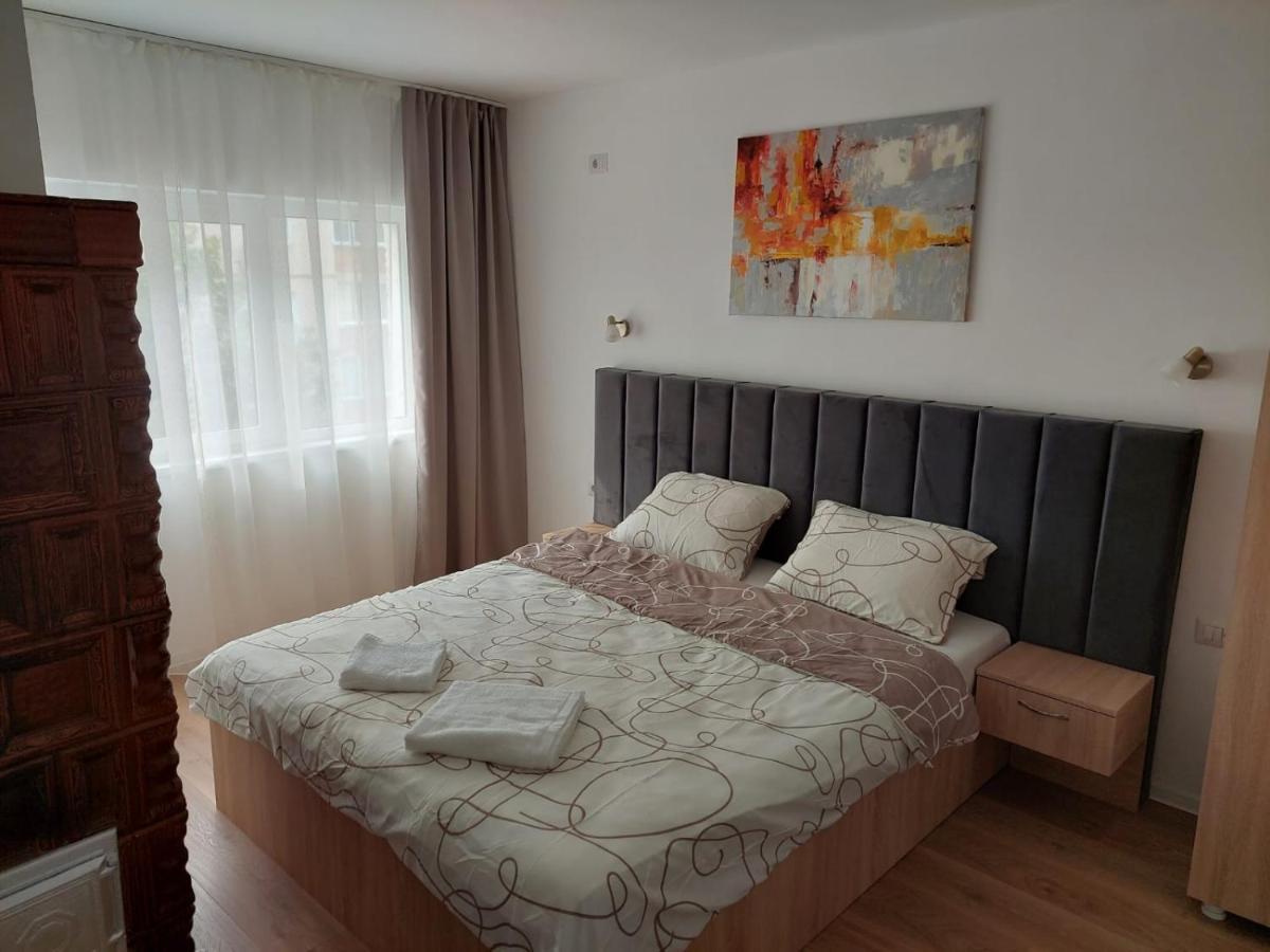 Ela'S Apartment Baile Herculane Bagian luar foto